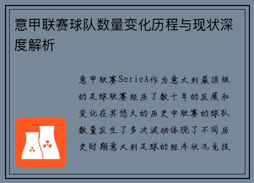 意甲联赛球队数量变化历程与现状深度解析
